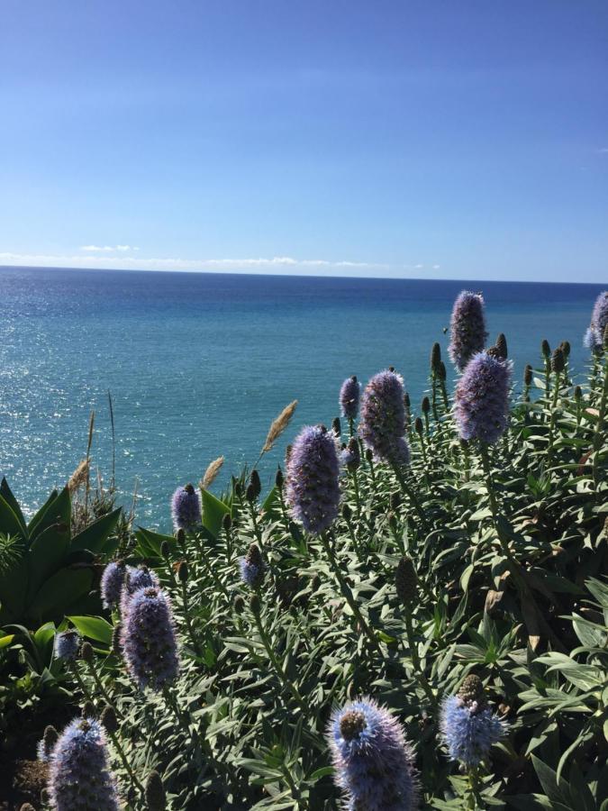 Calheta Ocean View Family Apartment Estreito Da Calheta Exterior foto